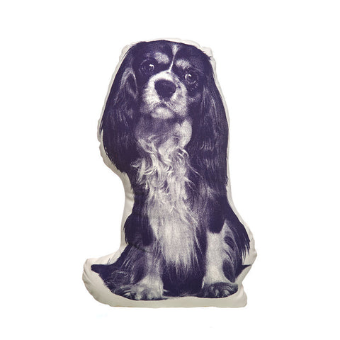 King Cavalier