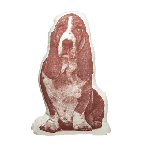 basset hound 