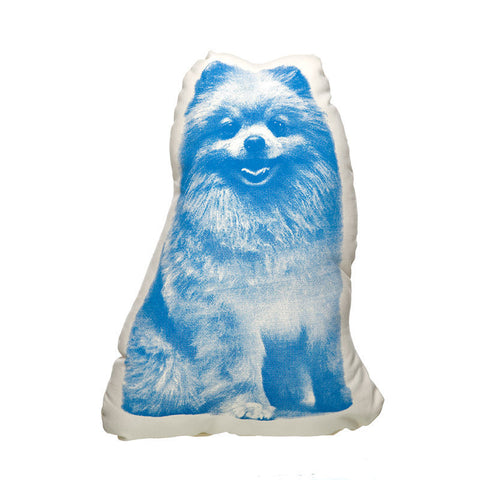 pomeranian 