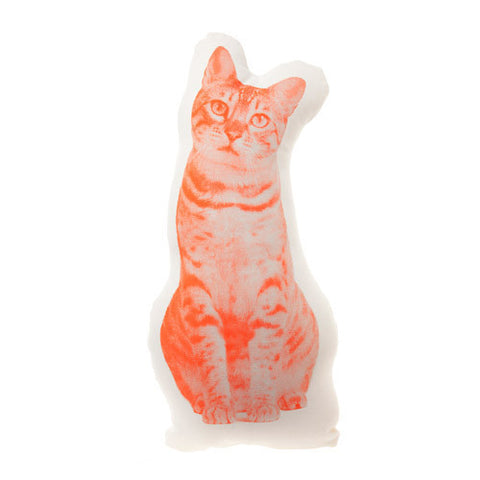 tabby cat
