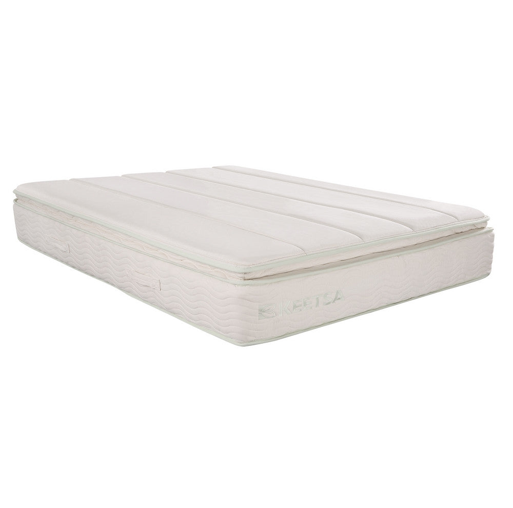 the pillow plus