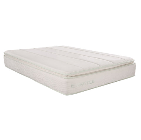 the pillow plus