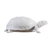 turtle box