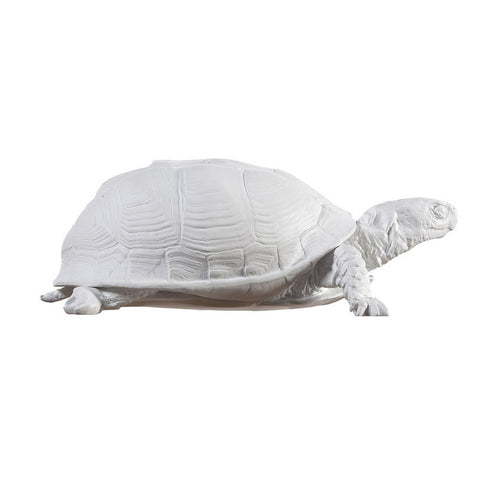 turtle box