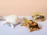 turtle box