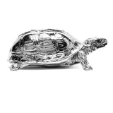 turtle box