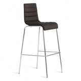roy stool