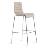 roy stool