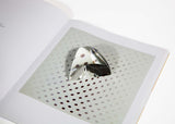 prism magnifier