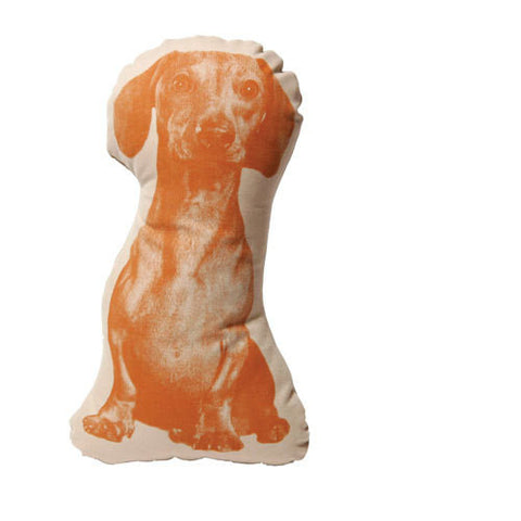 dachshund