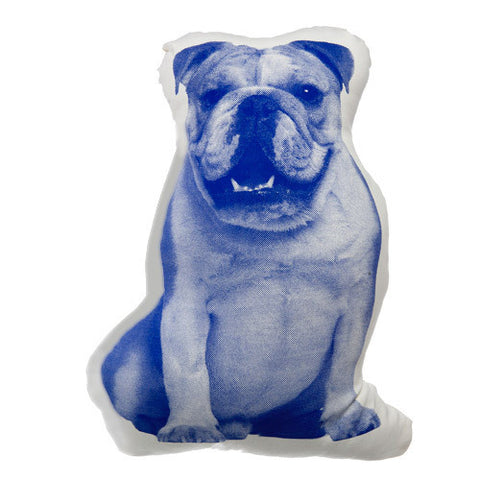 english bulldog
