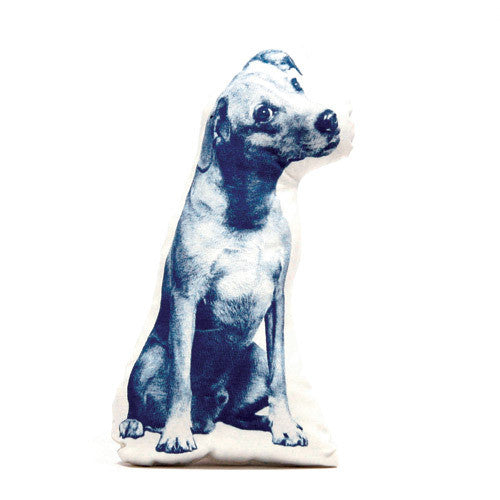 jack russell