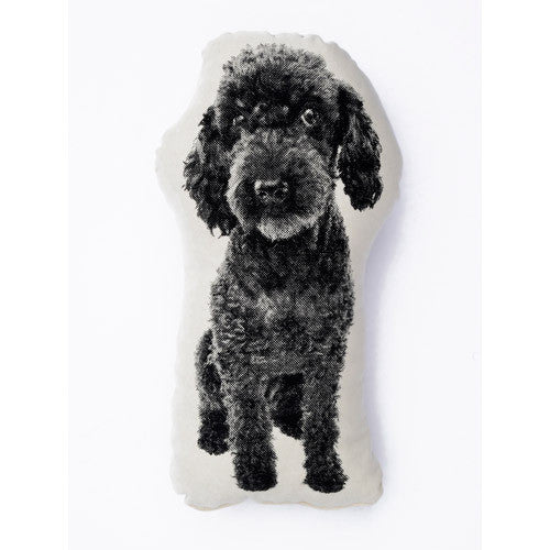 poodle