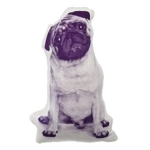 pug