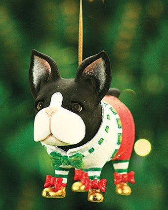 boston terrier
